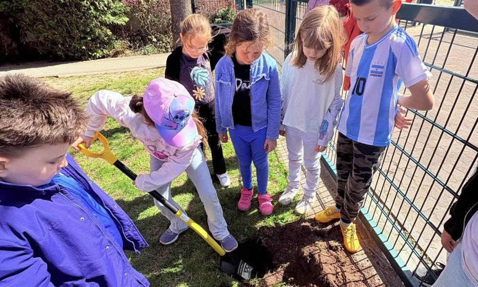 Projektowe piątki w klasie 1.